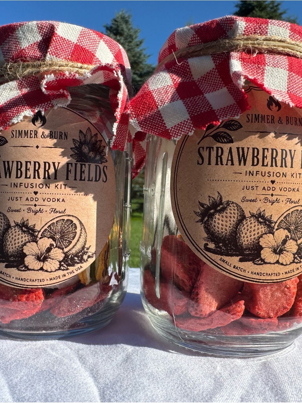 Strawberry Fields Infusion Kit by - Red